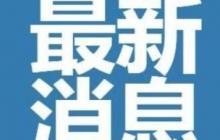 小小的花园里挖呀挖呀是什么歌 《花园种花》完整版歌词！
