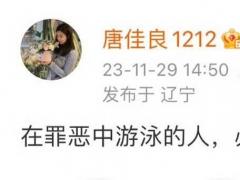 唐佳良爸爸是谁 唐佳良是盼盼集团千金吗？